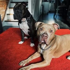 Meet your Posher, Liz